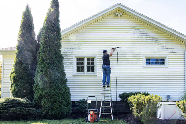 Best Roof Cleaning and Mildew Removal in Enfield, NC